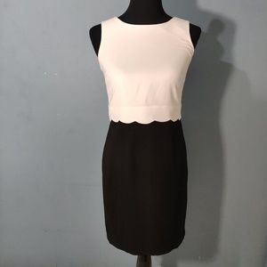 Black & White Ivanka Trump Dress Size 2